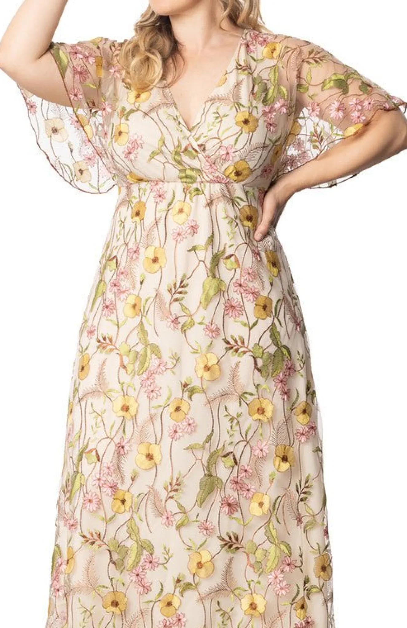 Embroidered Elegance Evening Gown - Plus