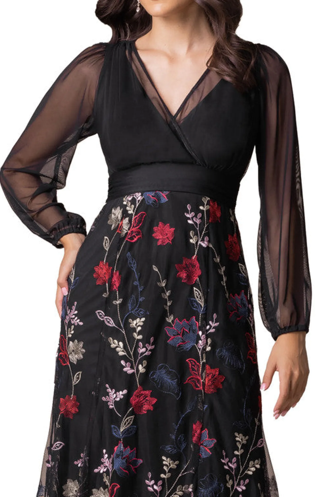 Isabella Embroidered Mesh Gown